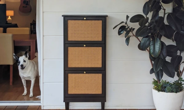 Maya's Shoe Cabinet