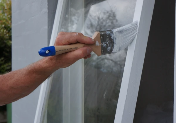 STEP 4: Painting detail areas 