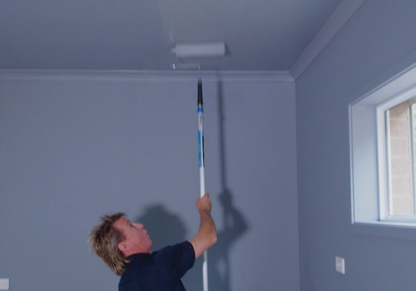 STEP 5: Painting Ceiling and Walls 
