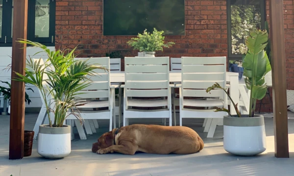 Aimee's Pergola